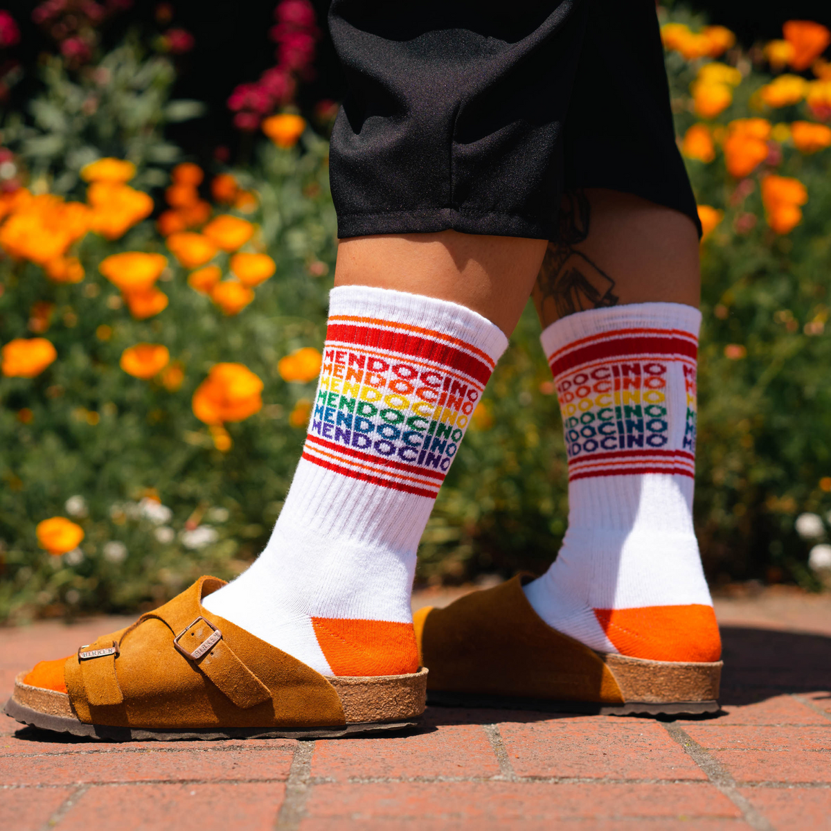 Gumball Poodle Mendocino women&#39;s and men&#39;s sock featuring &quot;Mendocino&quot; in rainbow colors on white sock on model&#39;s feet