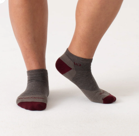 Wide Open/Darn Tough/WOMEN'S SOLID CUSHIONED NO SHOW SOCKS