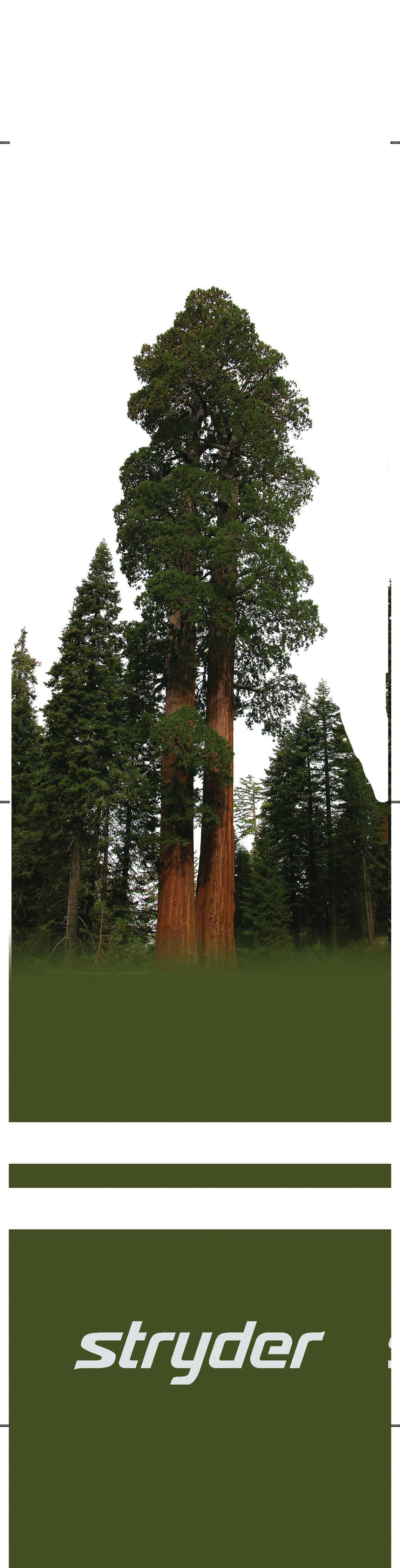 Stryder/CA Redwoods Double Tree Socks-SALE