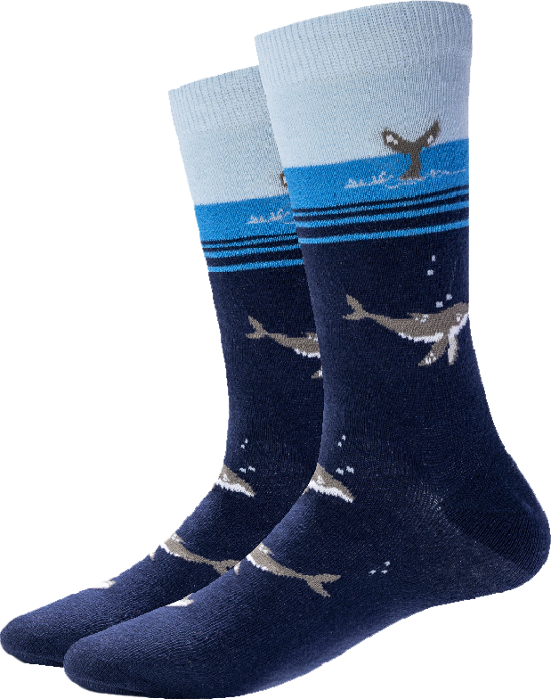 Sock Harbor/Whale Socks