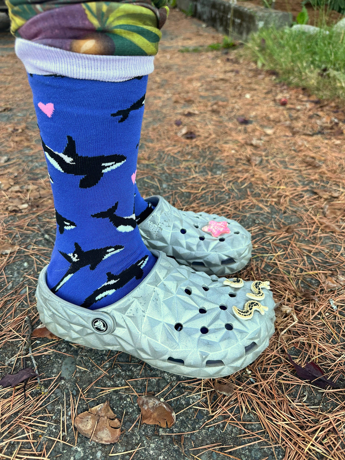 Owl and Bear/Orca Whale Socks - $1 to Charity! - 80% Bamboo