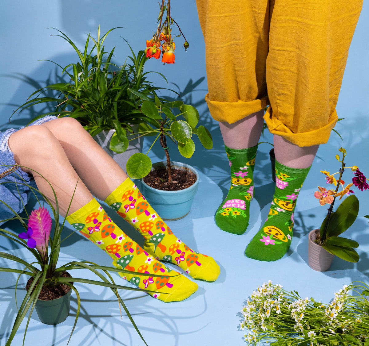 Yellow Owl Mushroom/Mushroom Butterfly Socks - Women's 1970s Retro Crew Socks-SALE