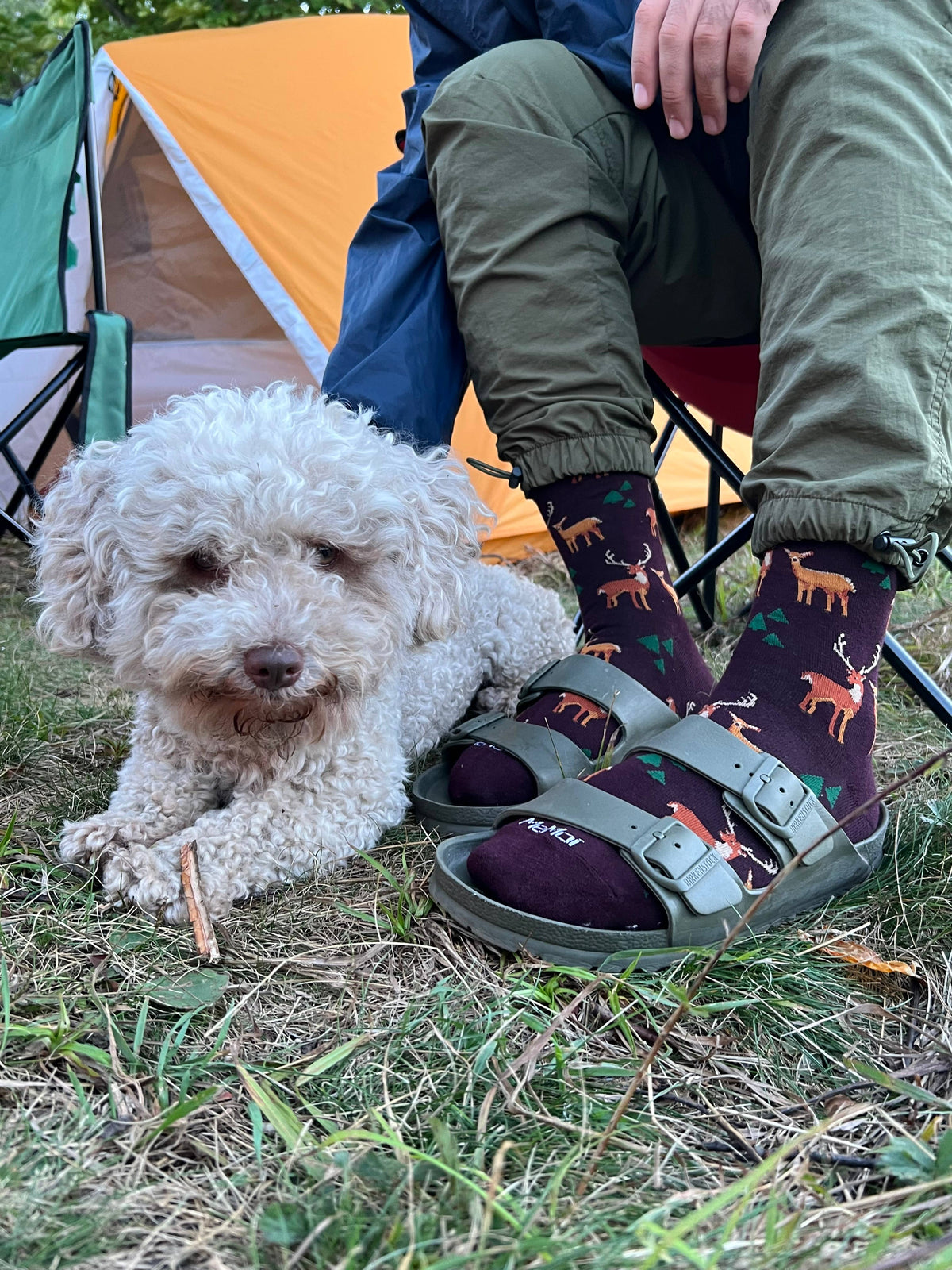 MeMoi/Oh Deer Bamboo Blend Men's Crew Socks