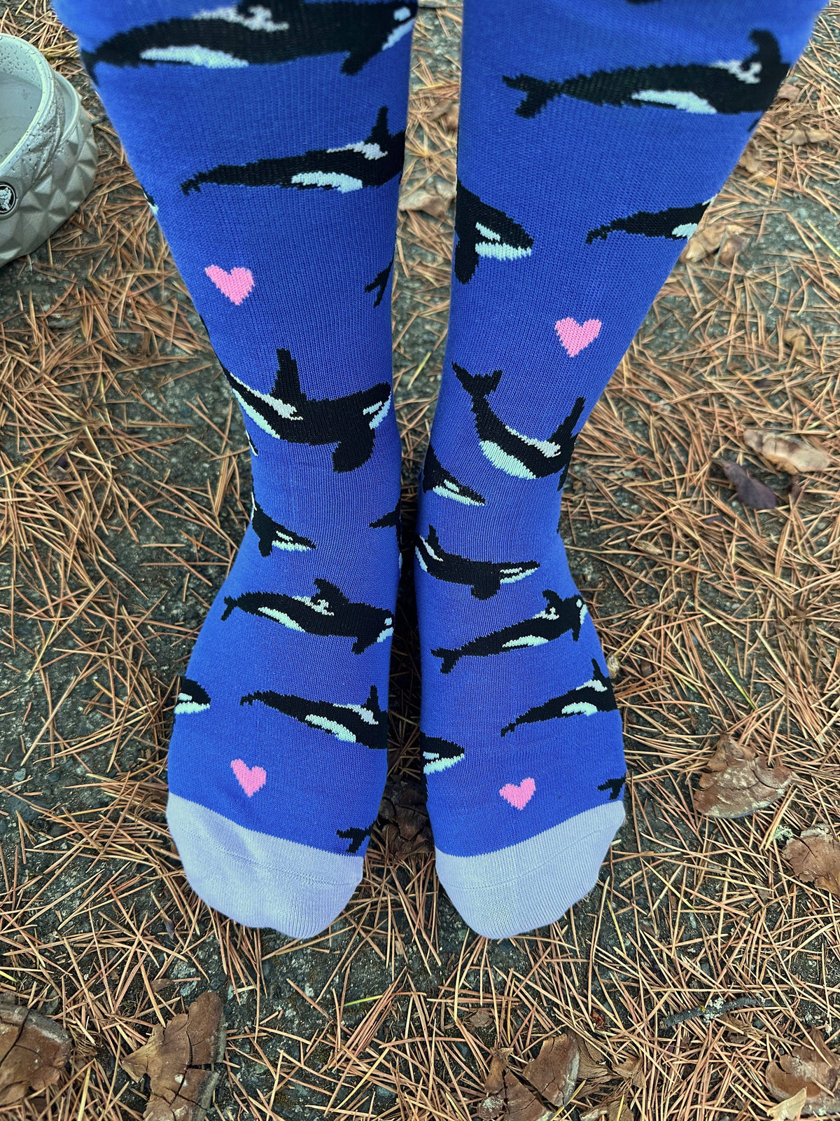 Owl and Bear/Orca Whale Socks - $1 to Charity! - 80% Bamboo