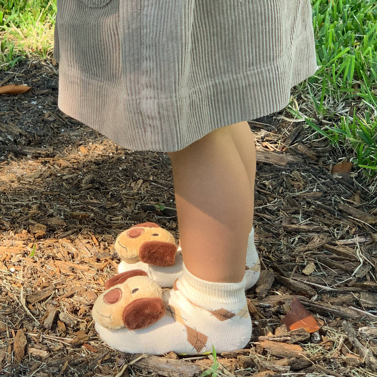 Piero Liventi/Brown Dog Boogie Toes Rattle Socks
