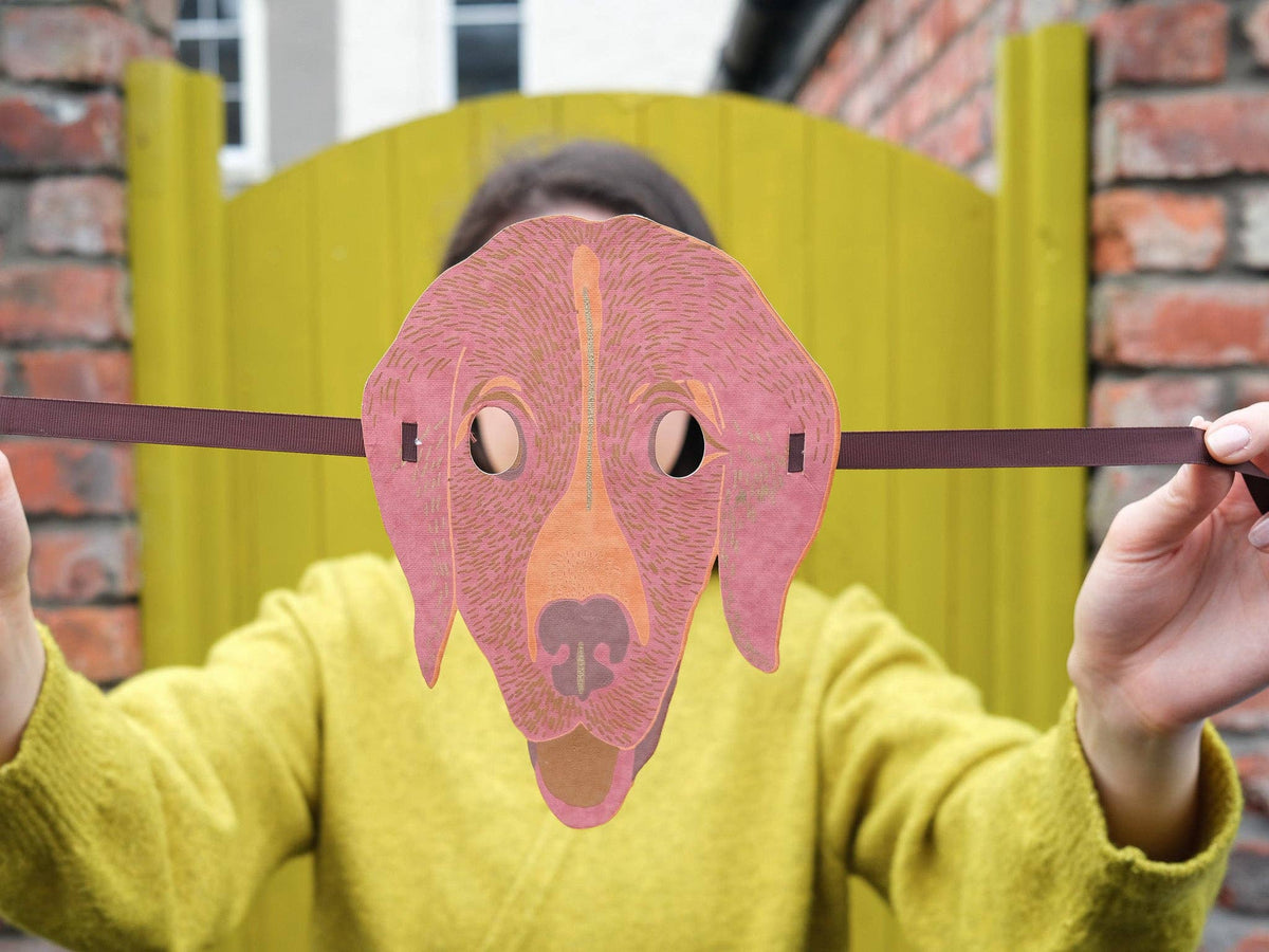 East End Press/Animal Fancy Dress Face Masks