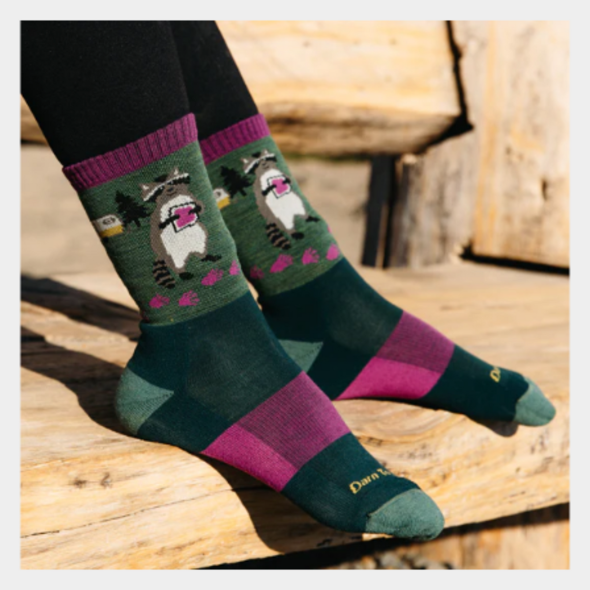 Darn Tough 5001 Critter Club Micro Crew Lightweight Hiking Women&#39;s Sock featuring green sock with purple cuff and raccoon holding jam sandwich. Sock shown on model&#39;s feet outside. 