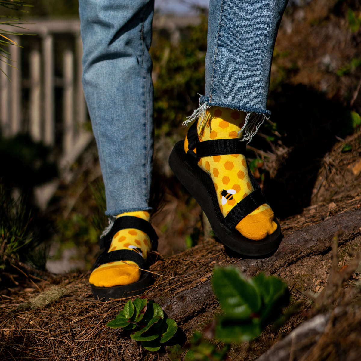 Sock It To Me women&#39;s yellow sock Bees Knees featuring honeycomb and bees all over on model in Mendocino