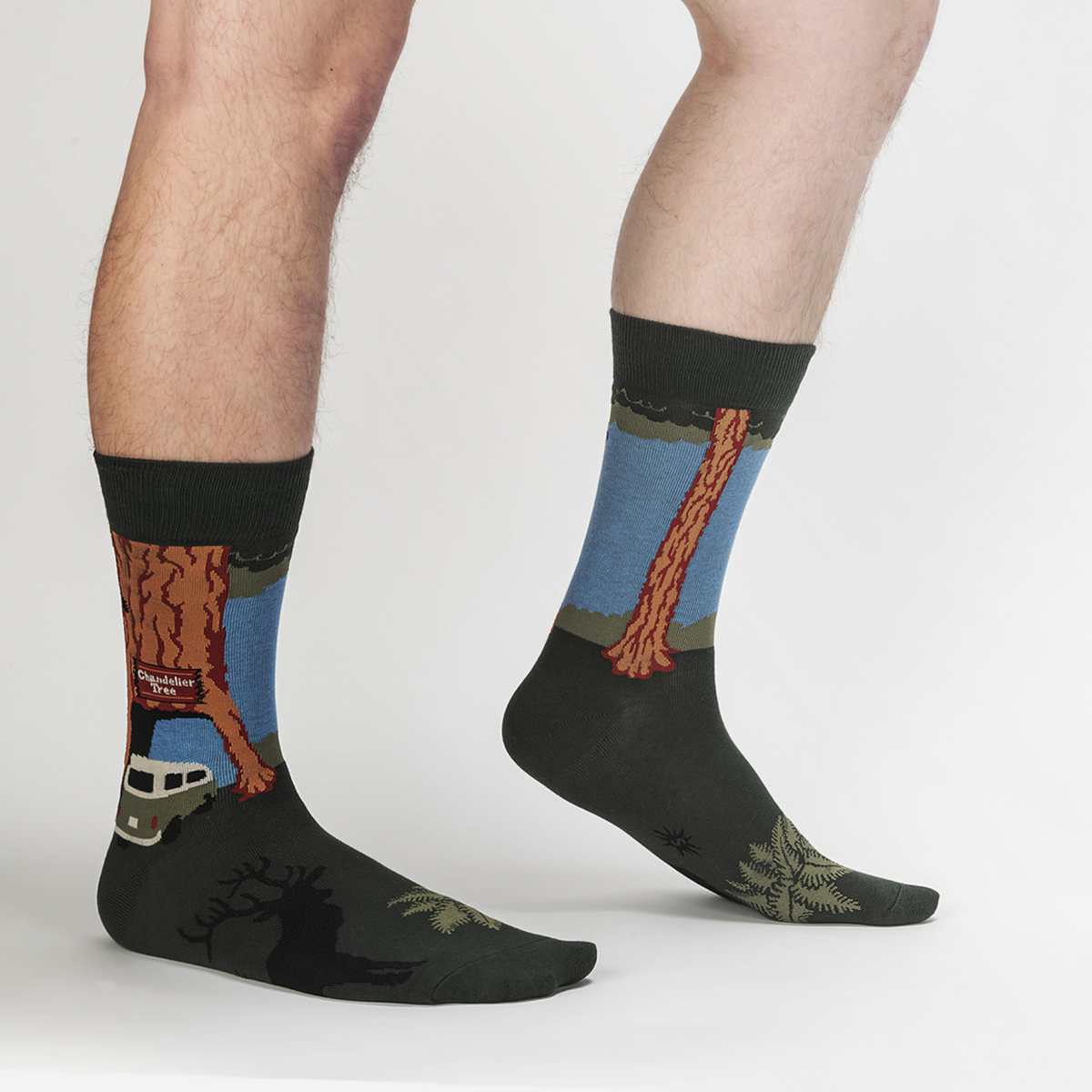 Sock It To Me Redwoods women&#39;s and men&#39;s sock featuring VW Van driving through Chandelier Tree redwood worn by male model from side