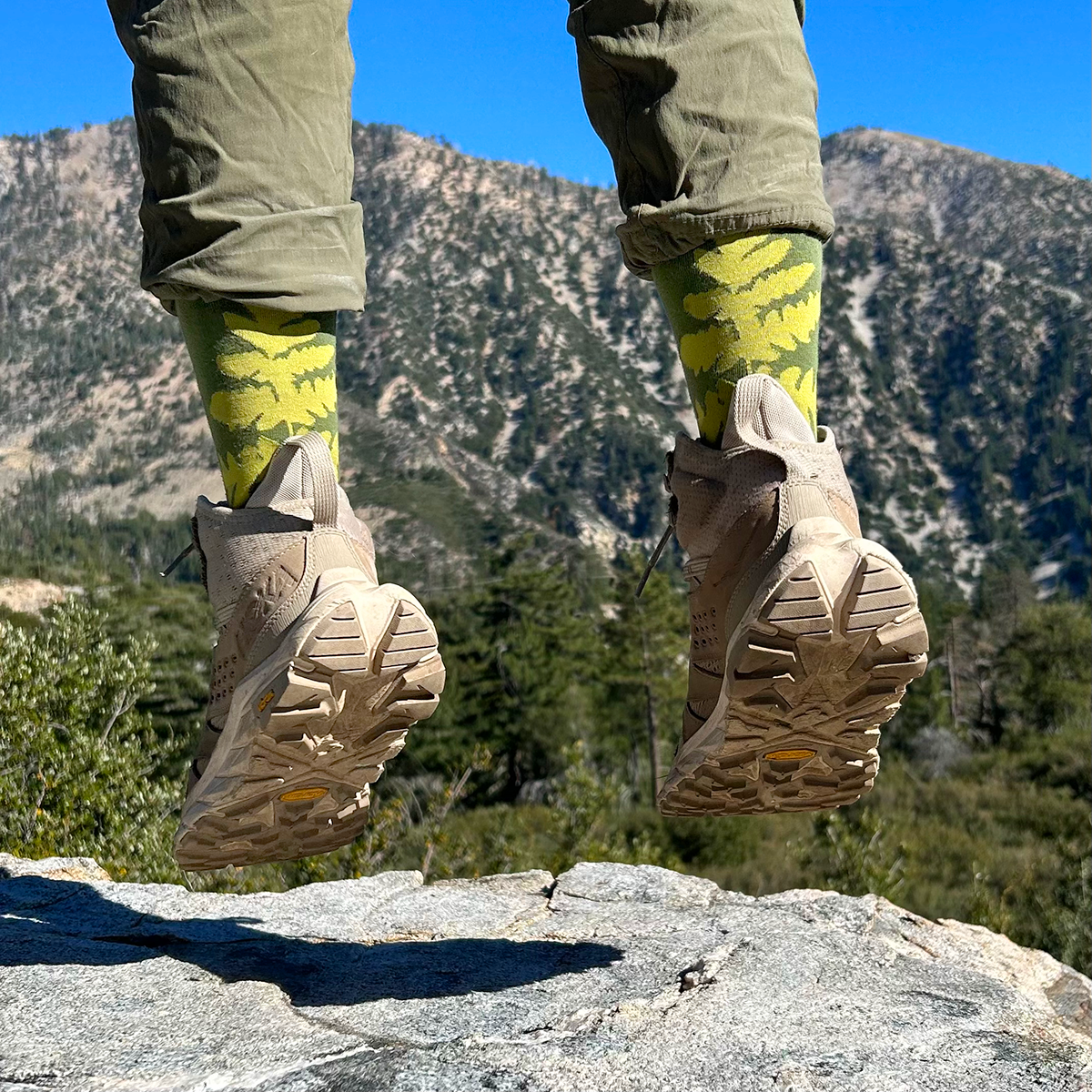 Mustard Beetle/Crew Socks: Fern