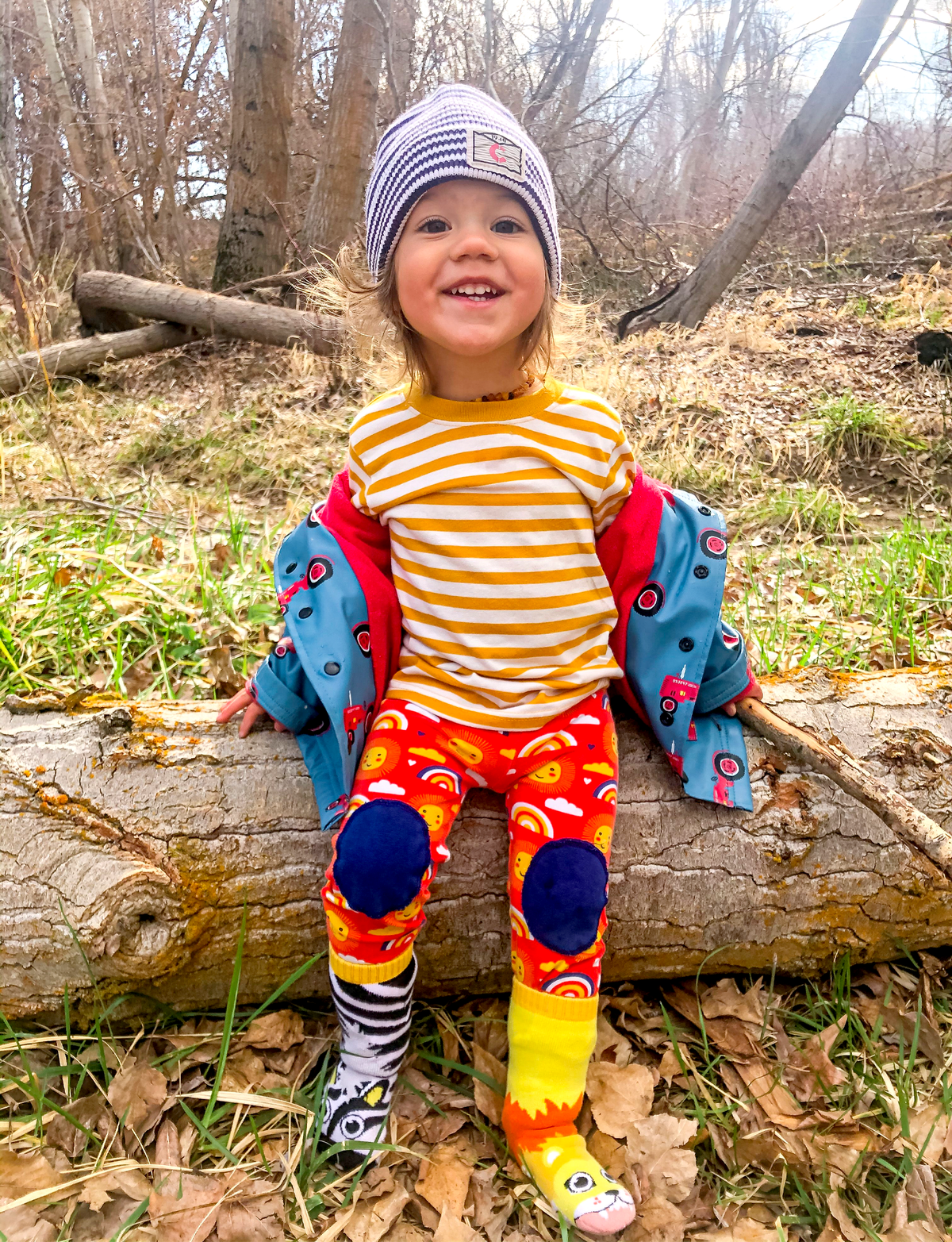 Pals/Lion & Zebra Mismatched Animals Non-Slip Socks for Kids