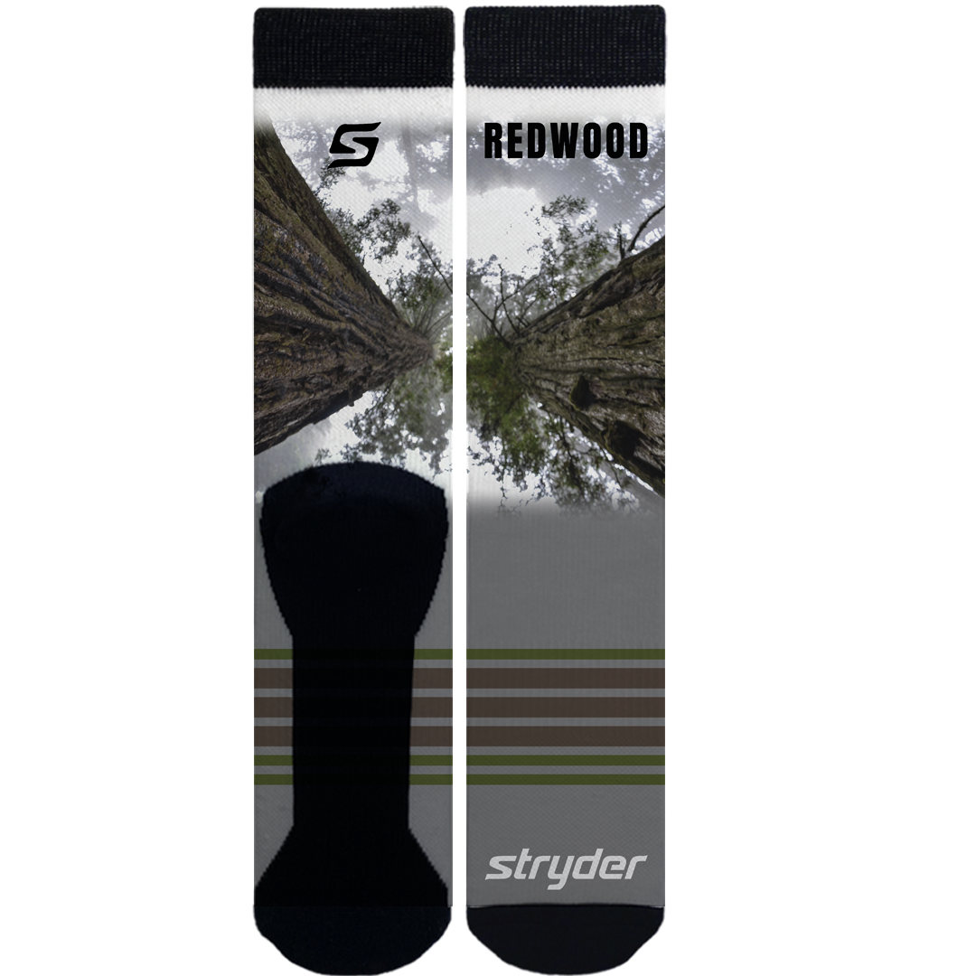 Stryder/SCA Redwoods Sequoia Tree Looking Up-SALE