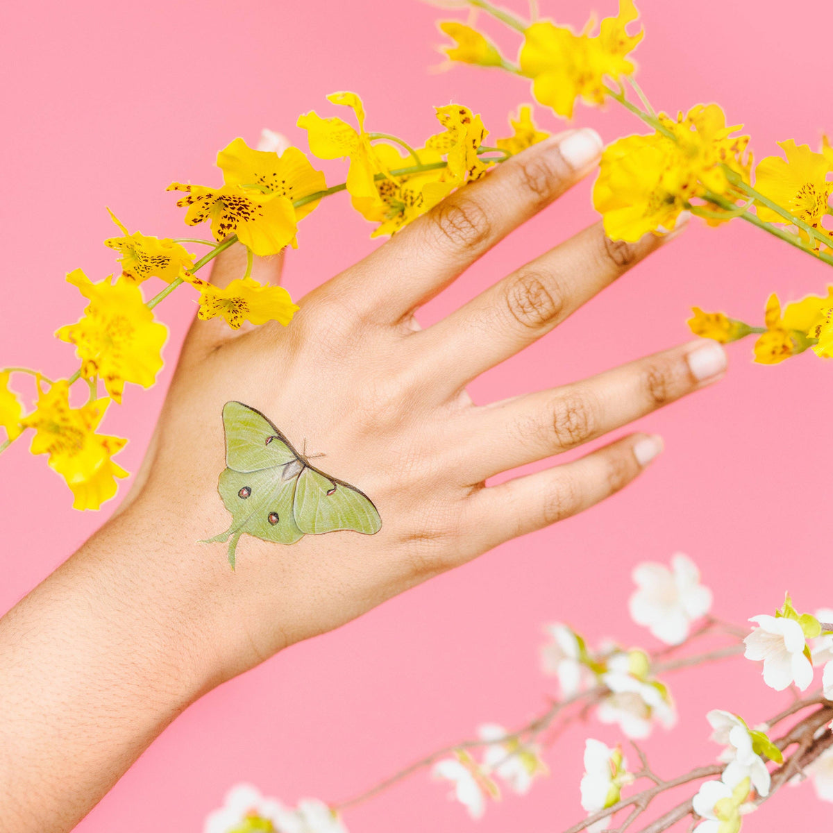 Tattly/Tiny Butterfly Tattoo Tin
