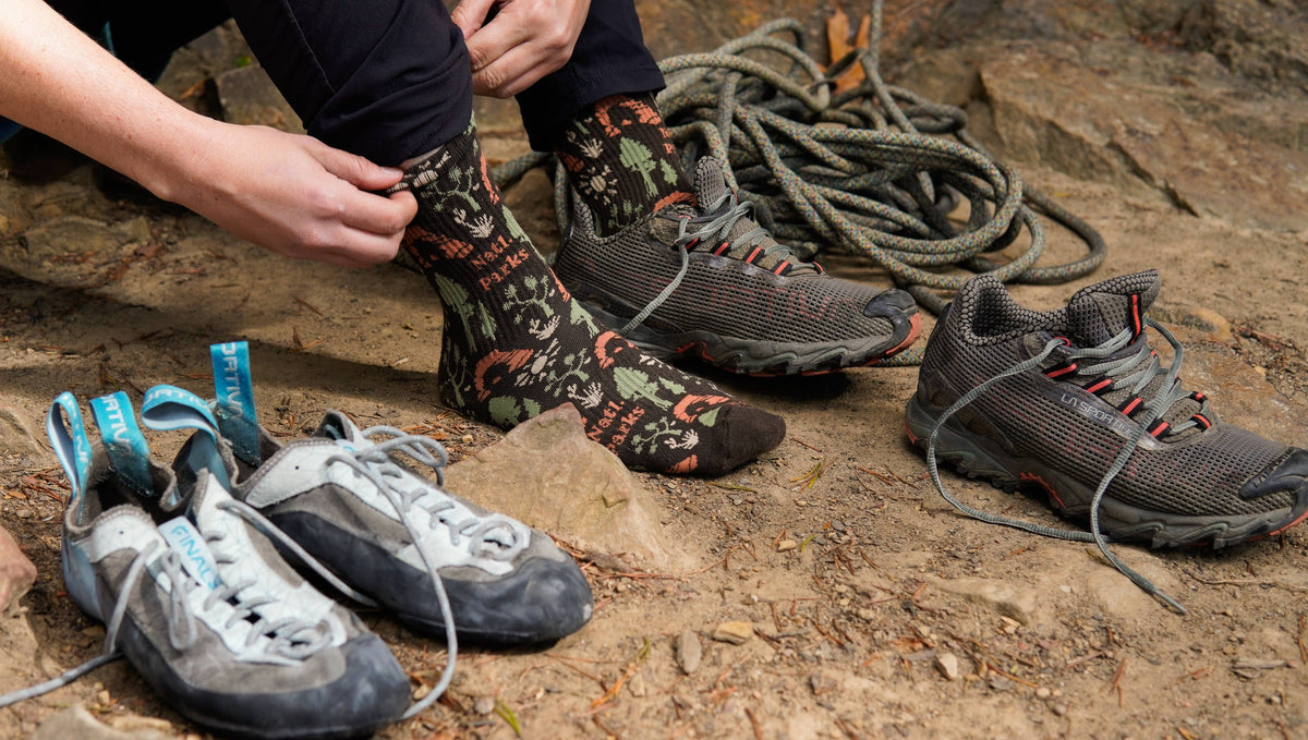 The Landmark Project/National Park Roundup Sock