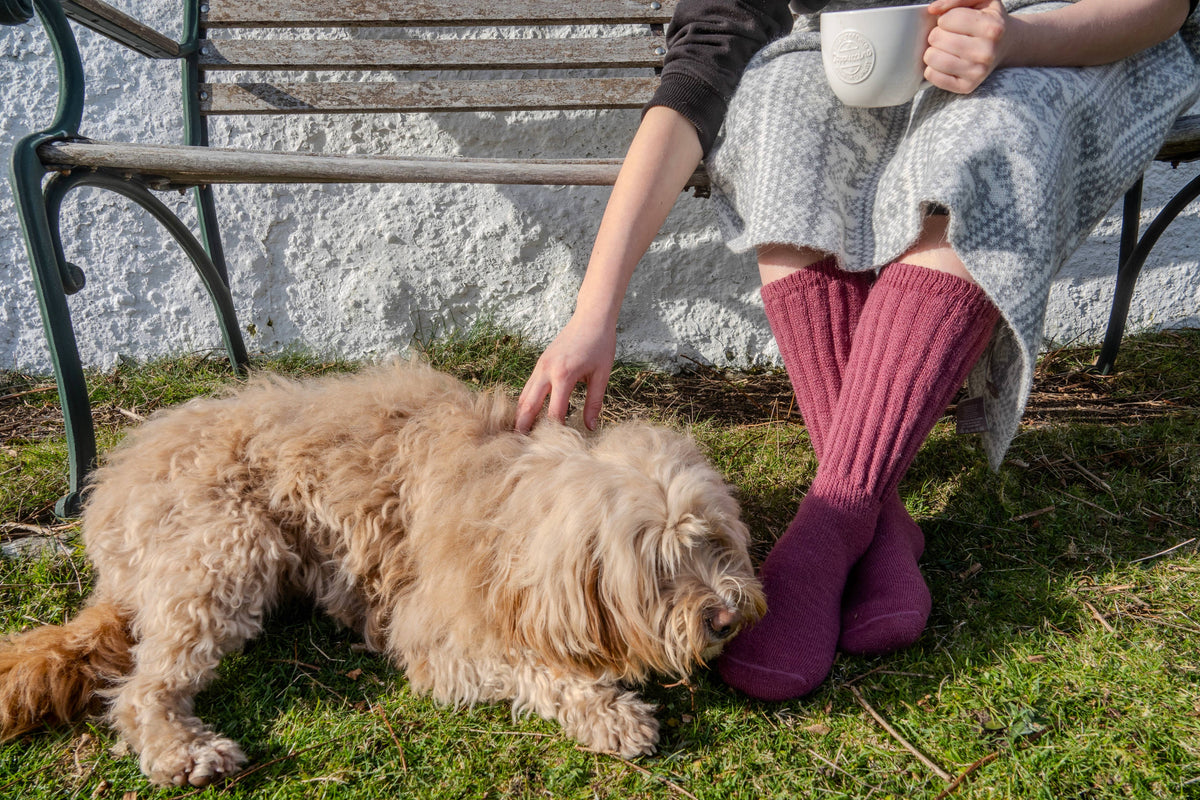 Cosy Alpaca Rib Knit Socks