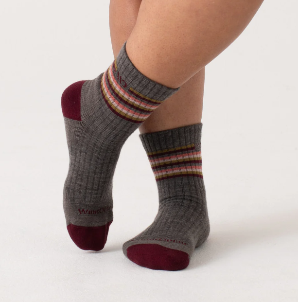 Wide Open/Darn Tough/WOMEN’S MULTI STRIPE CUSHIONED MICRO CREW SOCKS/9502