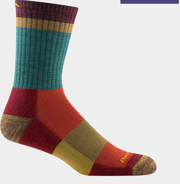 Darn Tough 1924 Heady Stripe Micro Crew Lightweight Cushion men&#39;s sock