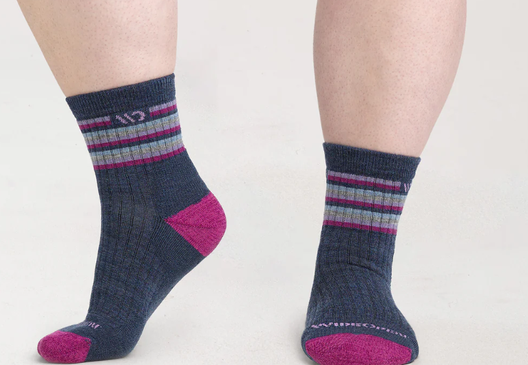 Wide Open/Darn Tough/WOMEN’S MULTI STRIPE CUSHIONED MICRO CREW SOCKS/9502