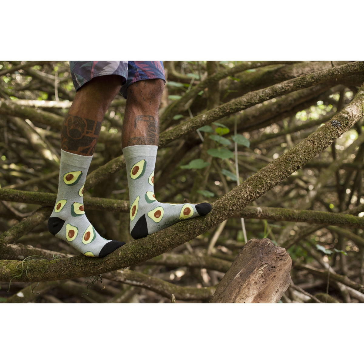 Good Luck Sock Avocado men&#39;s socks on model in a tree