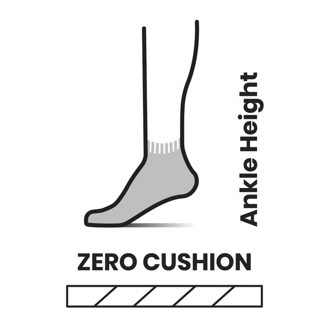 Smartwool Run Zero Cushion Ankle men&#39;s sock