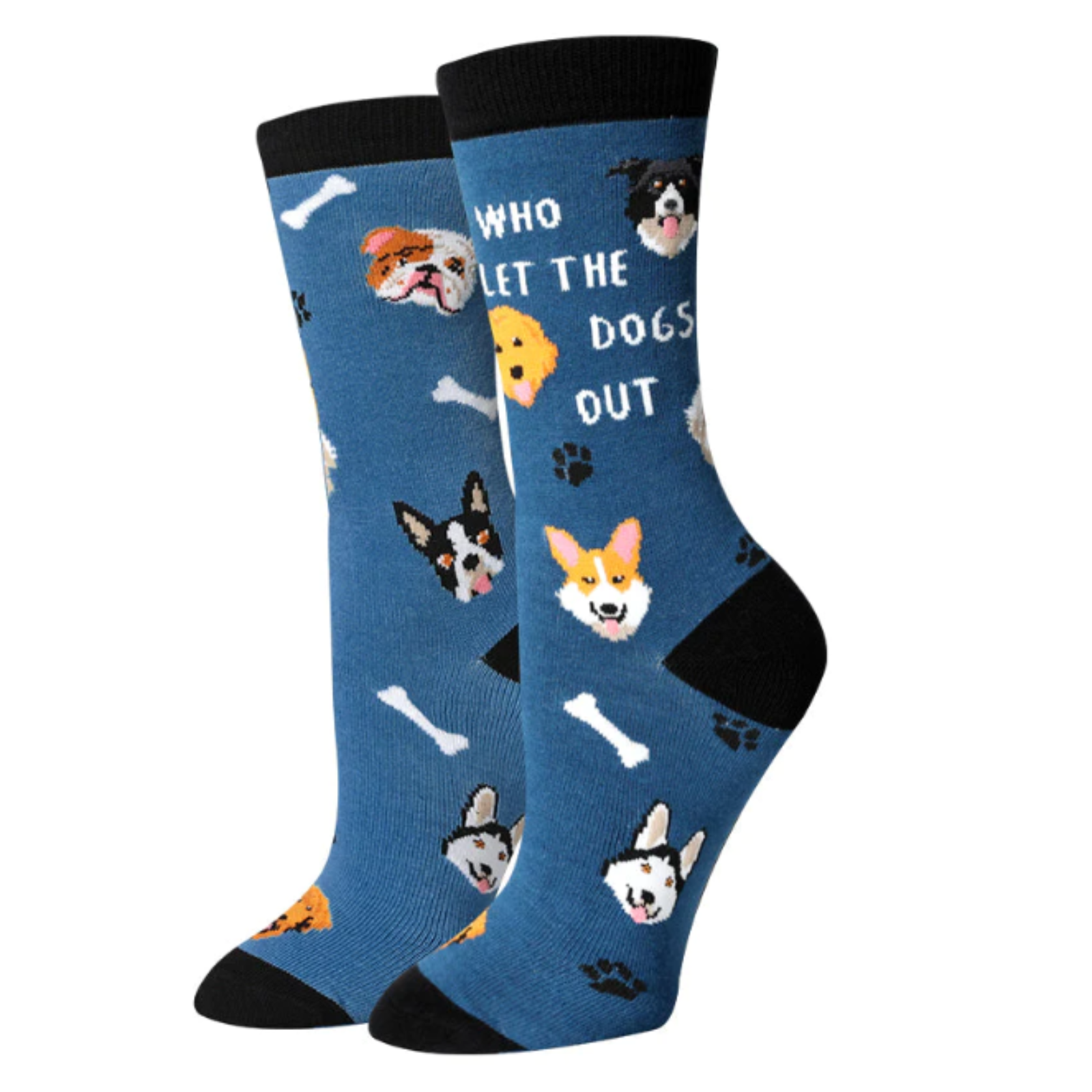 Sock Harbor blue women's crew sock that says Who Let the Dogs Out? with pictures of dogs, paw prints, and bones