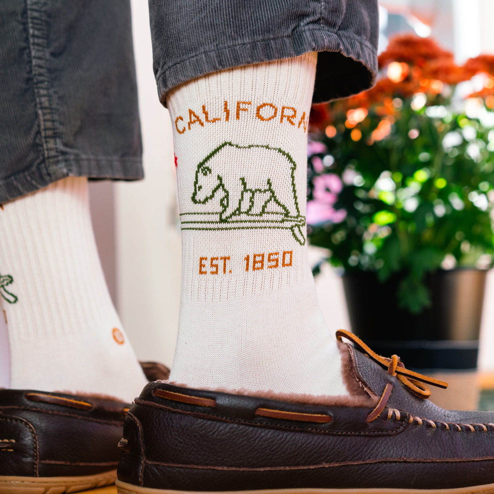 Stance California Republic mens and women's sock on model, sock features the words California est 1850 and a bear on a surfboard